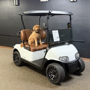 2020 EZGO Lithium RXV Refurbished