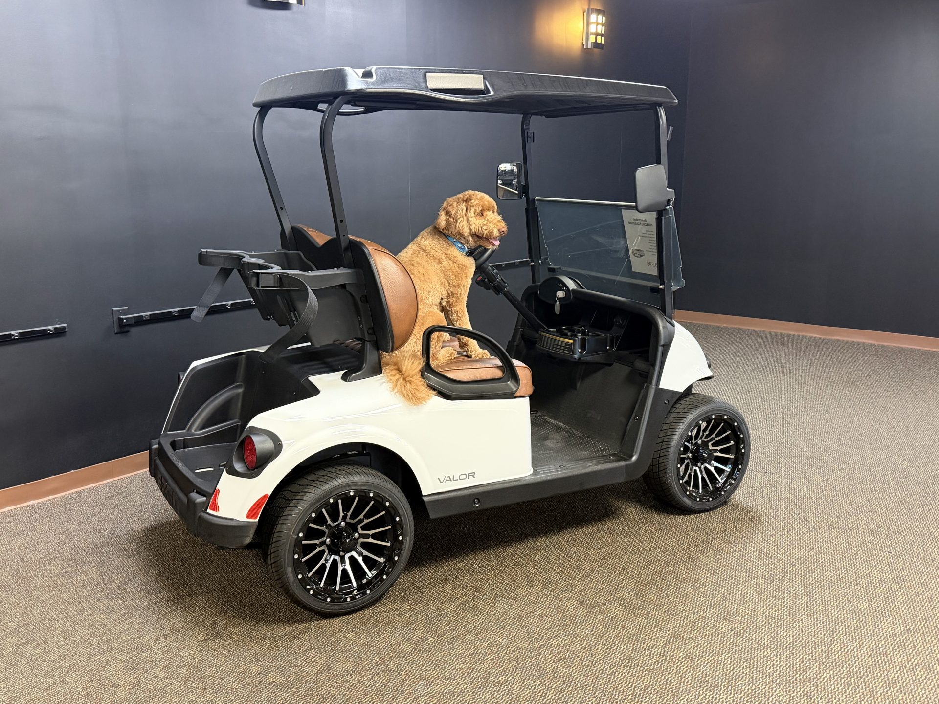 2020 EZGO Lithium RXV Refurbished - Image 2