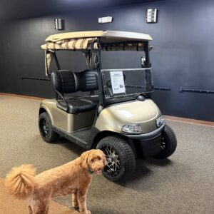 2020 EZGO Lithium RXV Refurbished